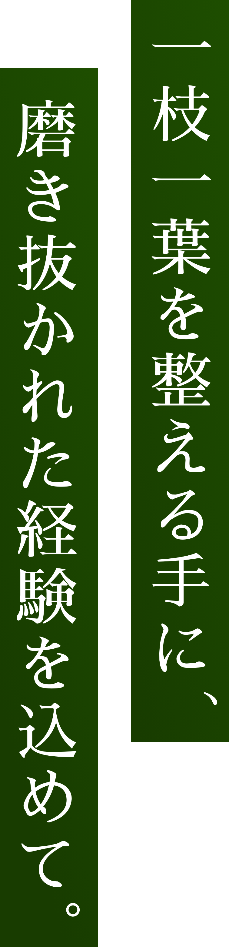 一枝一葉を整える手に磨き抜かれた経験を込めて。