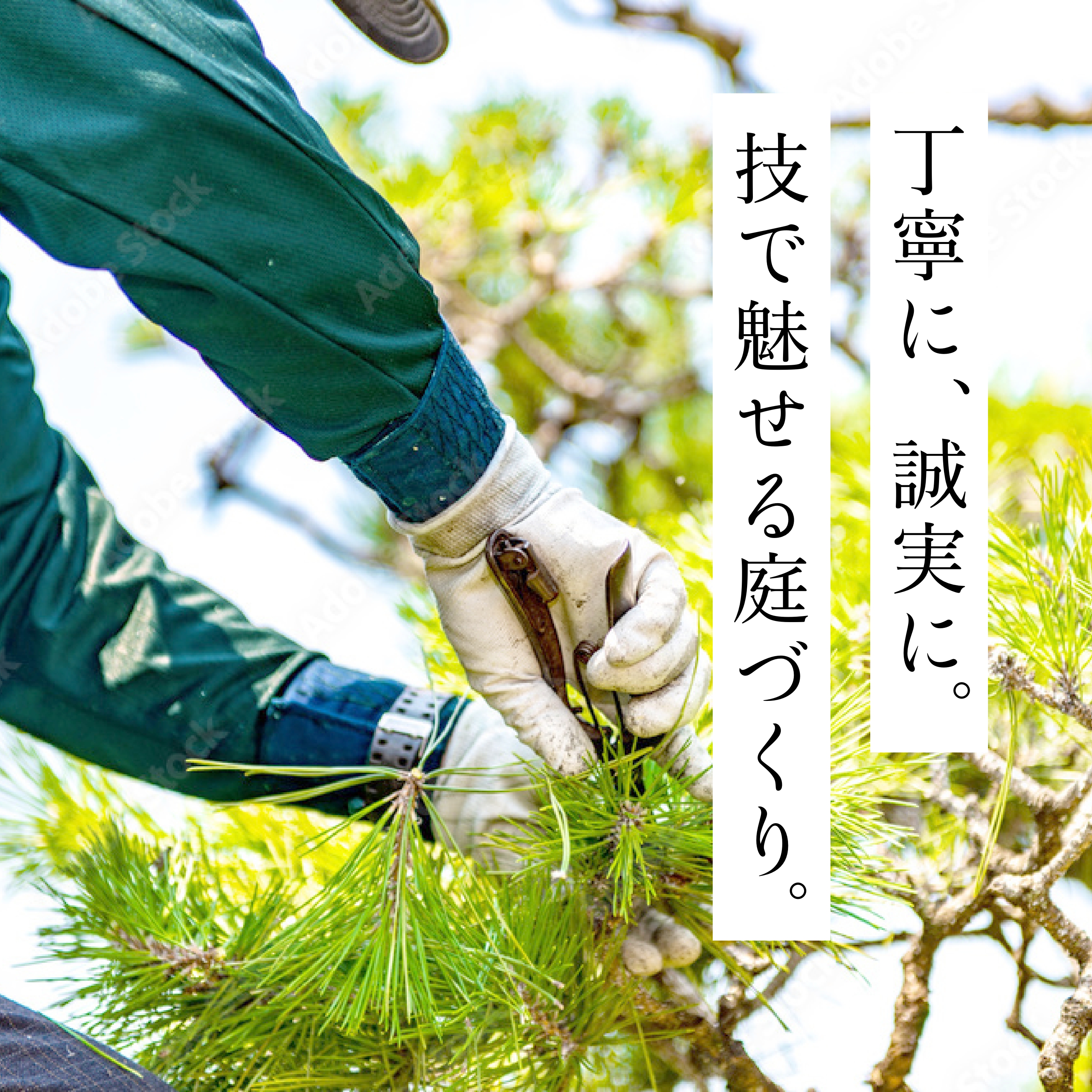 鬼淵造園